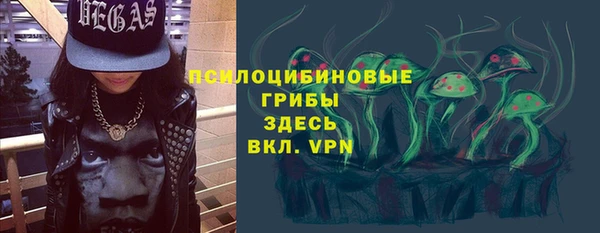 МДПВ Вяземский