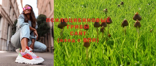 ГАЛЛЮЦИНОГЕННЫЕ ГРИБЫ Горняк