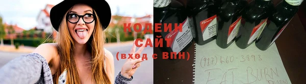 хмурый Вязьма
