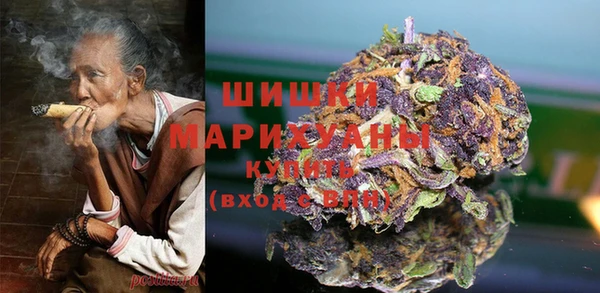 МДПВ Вяземский