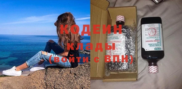 МДПВ Вяземский