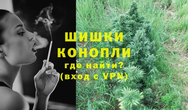 МДПВ Вяземский